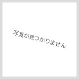 【】サロメ シガーカッター EXCT1-01 シルバー シルバーヘアライン sarome ブランド シガーカッター exct1-01