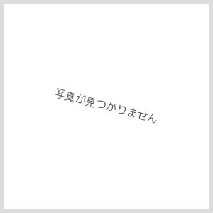 画像1: 【y】ジッポー #1600 サテーナ +オイル・フリントギフトBOXセット (zp-1600) (1)